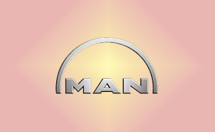 ✓ MAN N2.96502.6022 Запчасти МАН (MAN) 