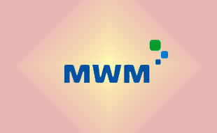 ✓ MWM 0403 3118 Запчасть MWM 